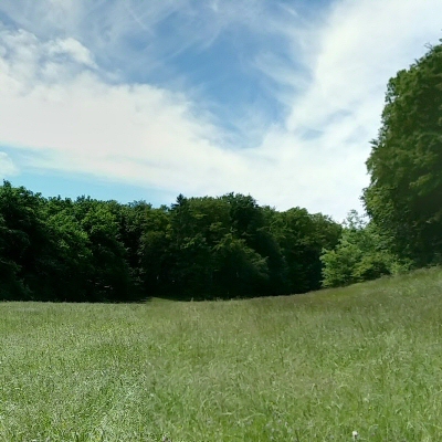 Bois de Chênes, Genolier, Suisse