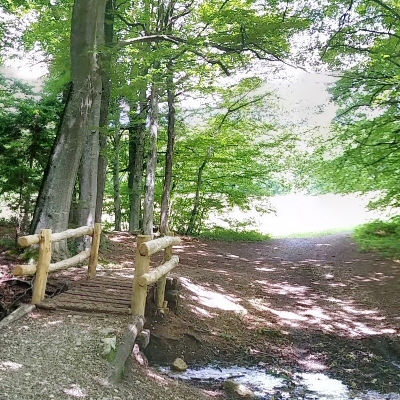 Bois de Chênes, Genolier, Suisse