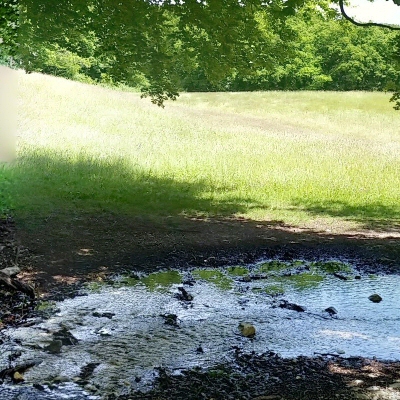 Bois de Chênes, Genolier, Suisse