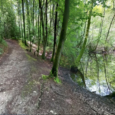 Bois de Chênes, Genolier, Suisse