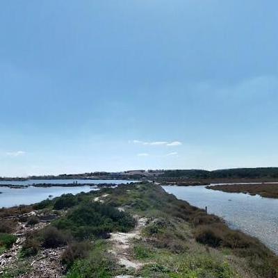 Etang, Saint-pierre-la-mer, Fleury, France